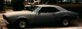 Firebird_Shark.jpg (32263 bytes)