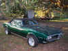 My_Firebird2.jpg (79239 bytes)