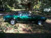My_Firebird.jpg (78600 bytes)